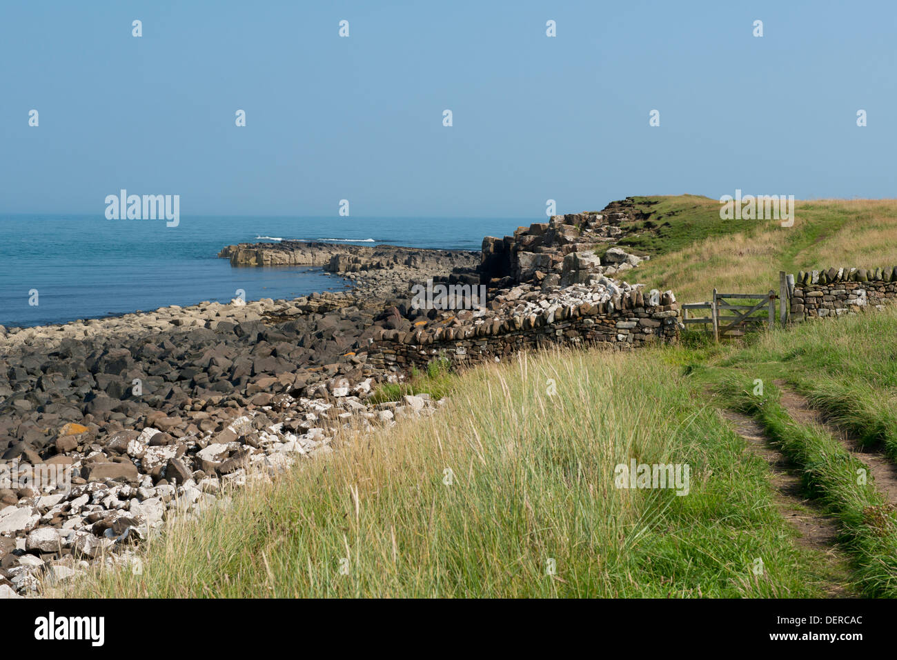 Eine Küste Wanderweg in der Nähe von niedrigen Newton-on-the-Sea, Northumberland, UK Stockfoto