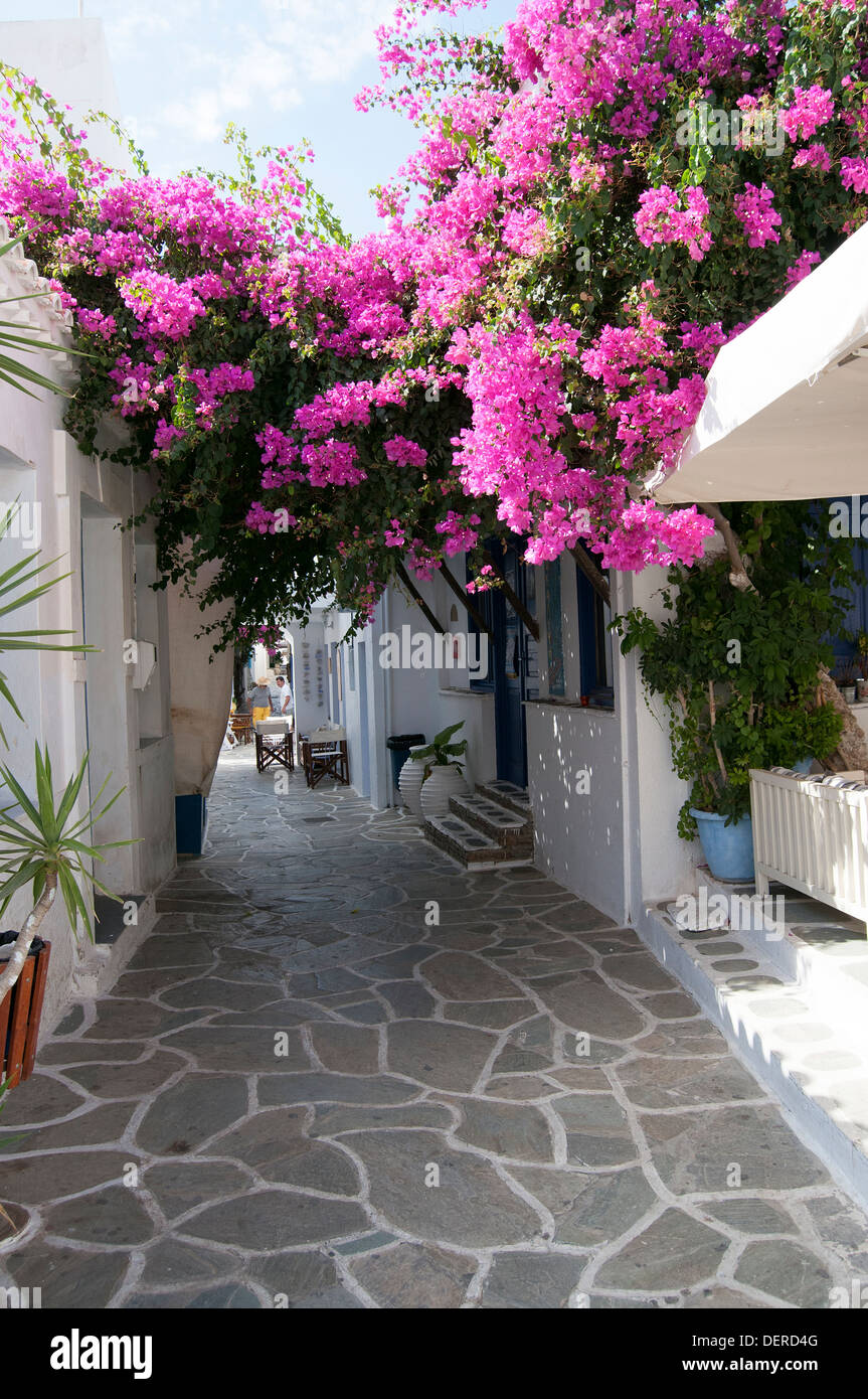 Kythnos, Griechenland - Kykladen, engen Gassen in der Hauptstadt Chora mit traditionellen weißen Häusern Stockfoto