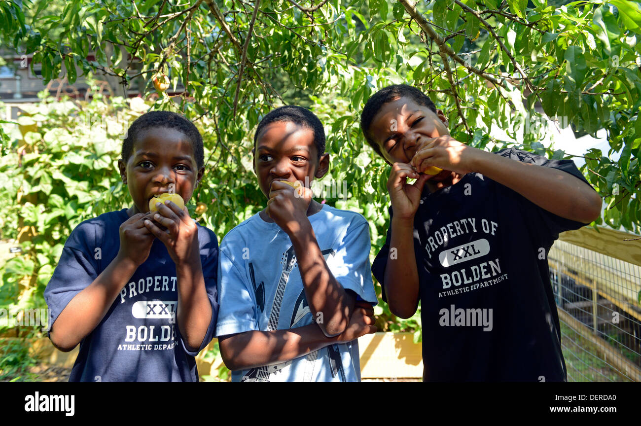 Schwarze Kinder von New Haven Bio Pfirsiche Essen nahm sie an der gemeinsamen Boden High school Stockfoto