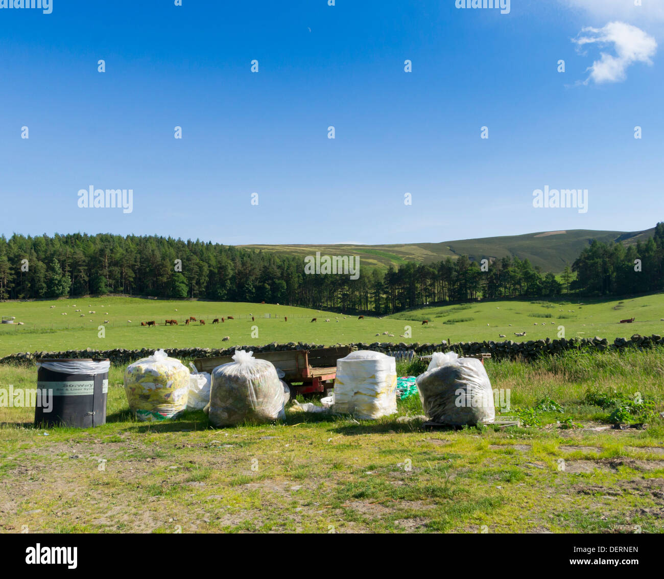 Riesige Taschen für landwirtschaftliche Abfälle, Sammlung auf einem Bergbauernhof in den Southern Uplands, Schottland erwartet. Stockfoto