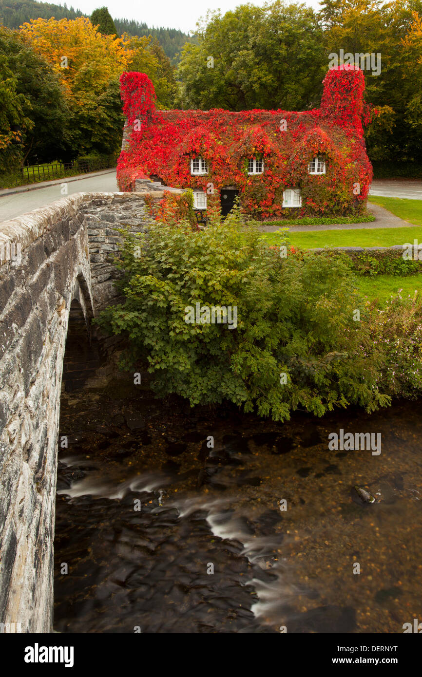 TU Hwnt I'r Bont Teestube während Romanum, North Wales, UK in volle Herbstfärbung Stockfoto