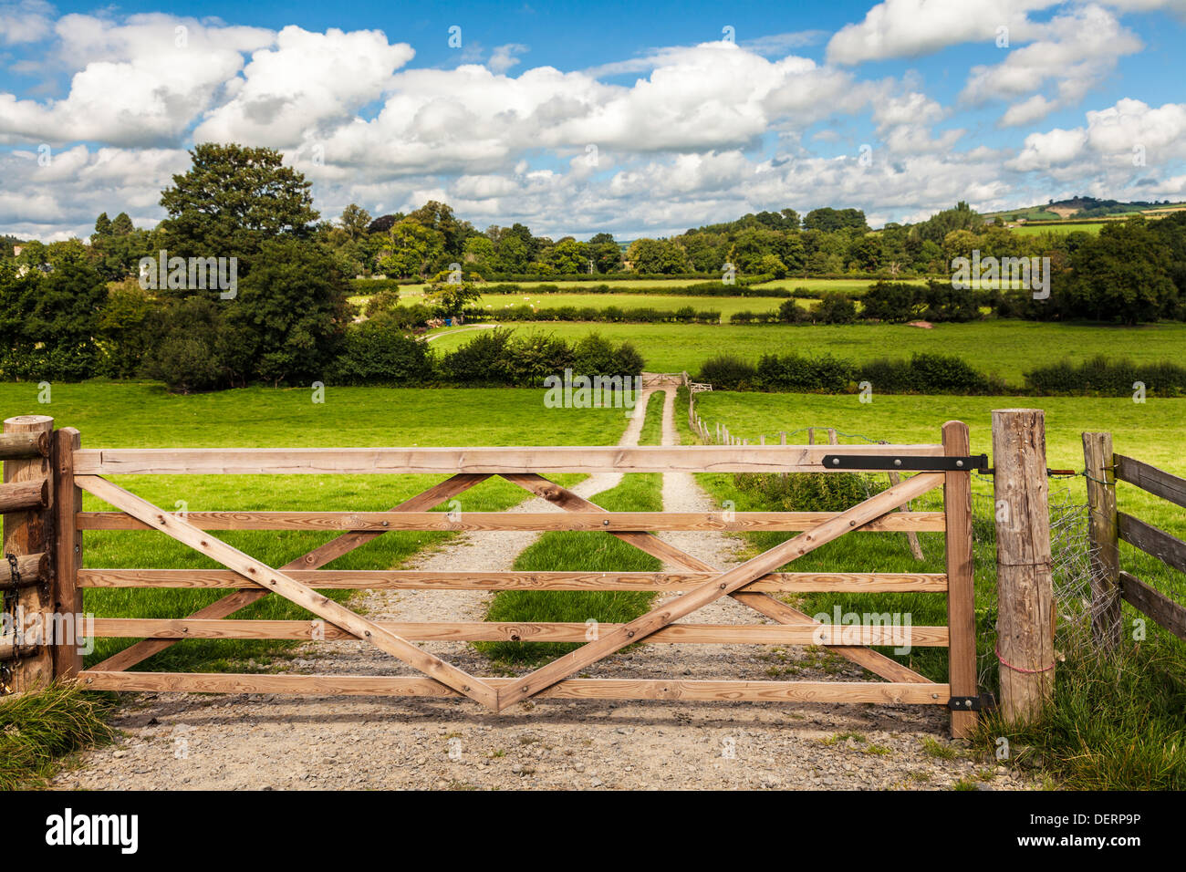 Die walisische Landschaft in Brecon-Beacons-Nationalpark in der Nähe von Pencelli. Stockfoto