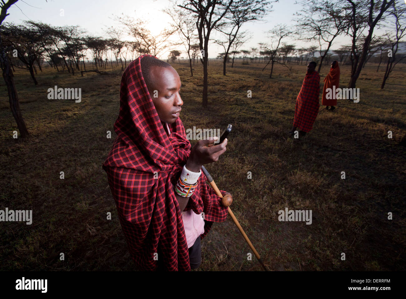 Maasai Mann senden einen Text Nachricht, Mara-Region, Kenia Stockfoto