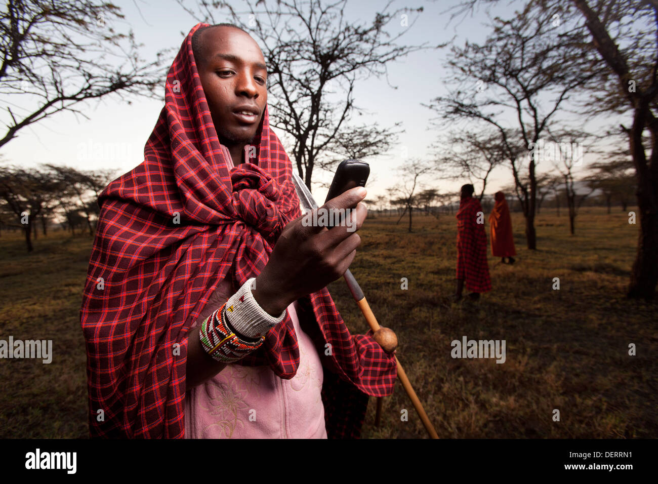 Maasai Mann senden einen Text Nachricht, Mara-Region, Kenia Stockfoto