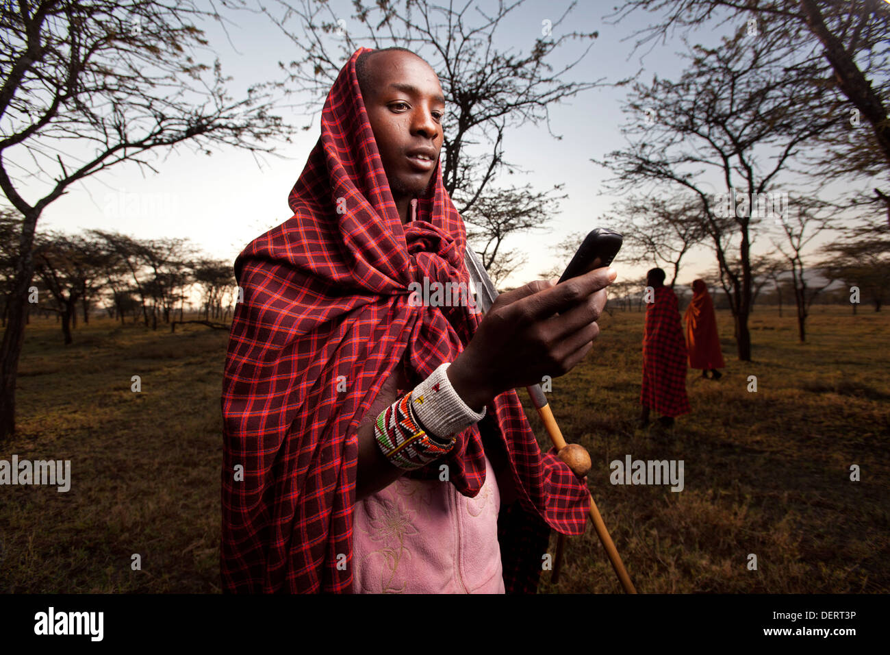Maasai Mann senden einen Text Nachricht, Mara-Region, Kenia Stockfoto