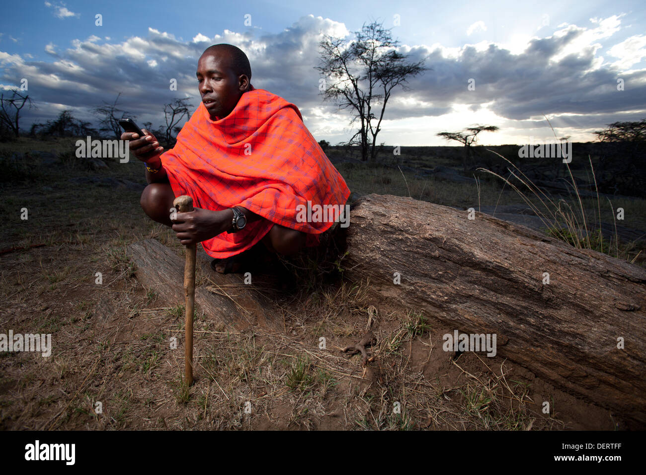 Maasai Mann senden einen Text Nachricht, Mara-Region, Kenia Stockfoto