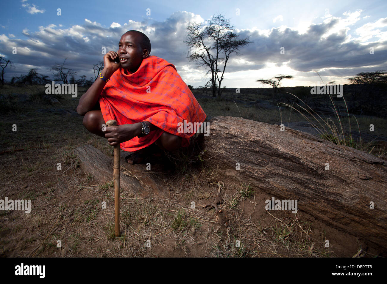 Massai am Handy, Mara-Region, Kenia Stockfoto