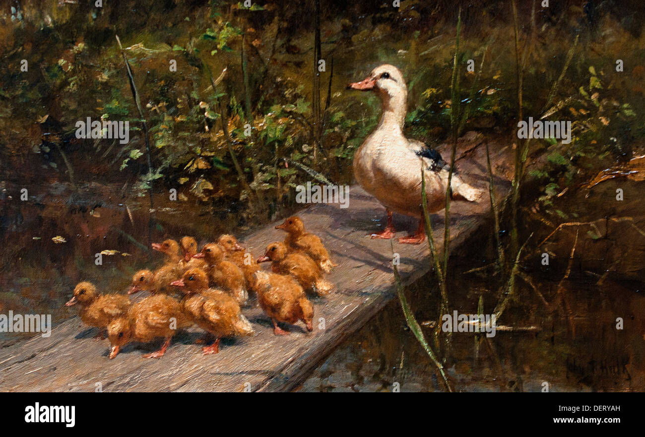 Moedereend traf Kuikens - Mutter Ente mit Küken von Johannes Frederik Hulk jr 1855-1913 Niederländisch Niederlande Stockfoto