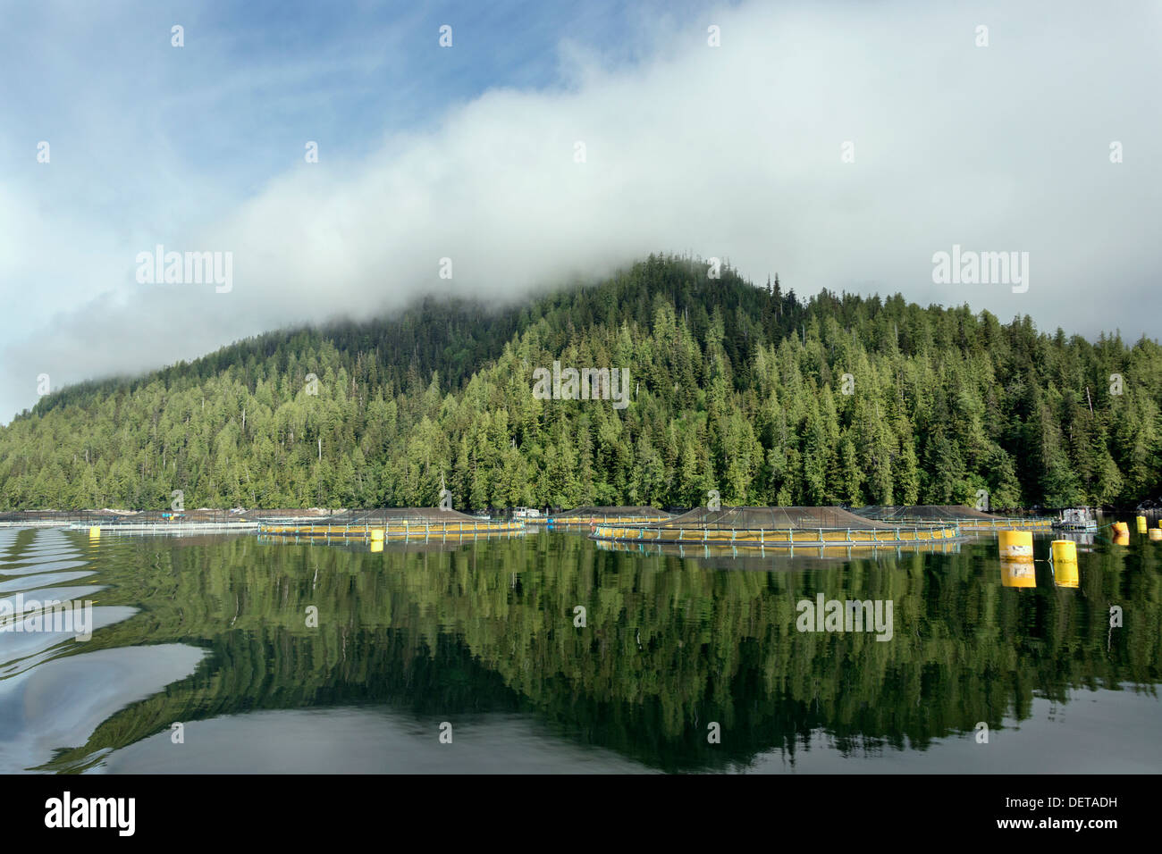 Geschlossene Einhausung Lachs Bauernhof mit Reflexionen, Muschel-Inlet, Mid Küste British Columbia Stockfoto