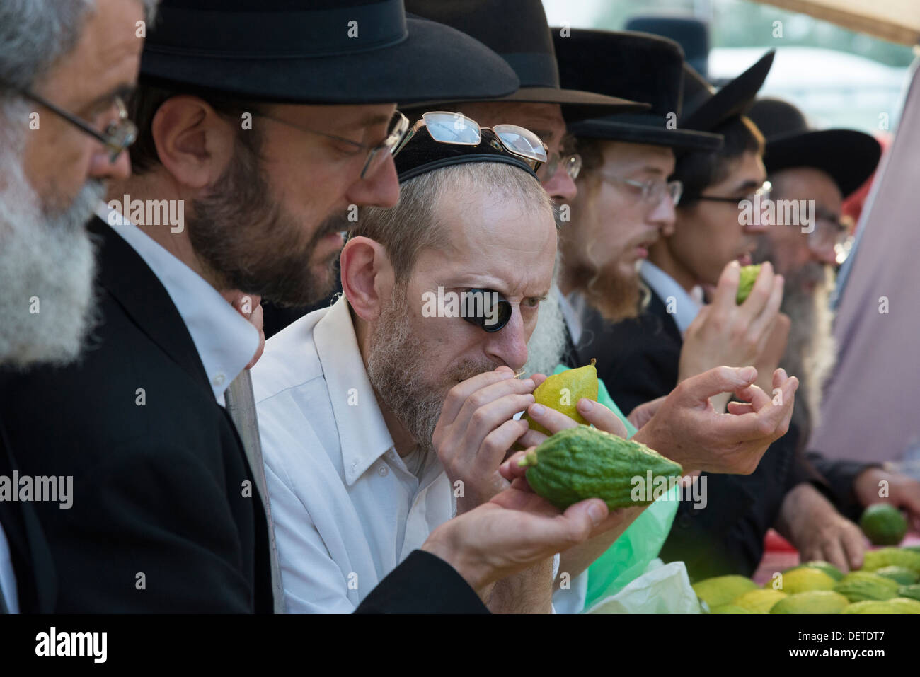 Orthodoxer Jude den Lulaw der er Sukkot jüdische Festival Etrog Frucht gesucht. 4 Arten Markt. Jerusalem. Israel. Stockfoto