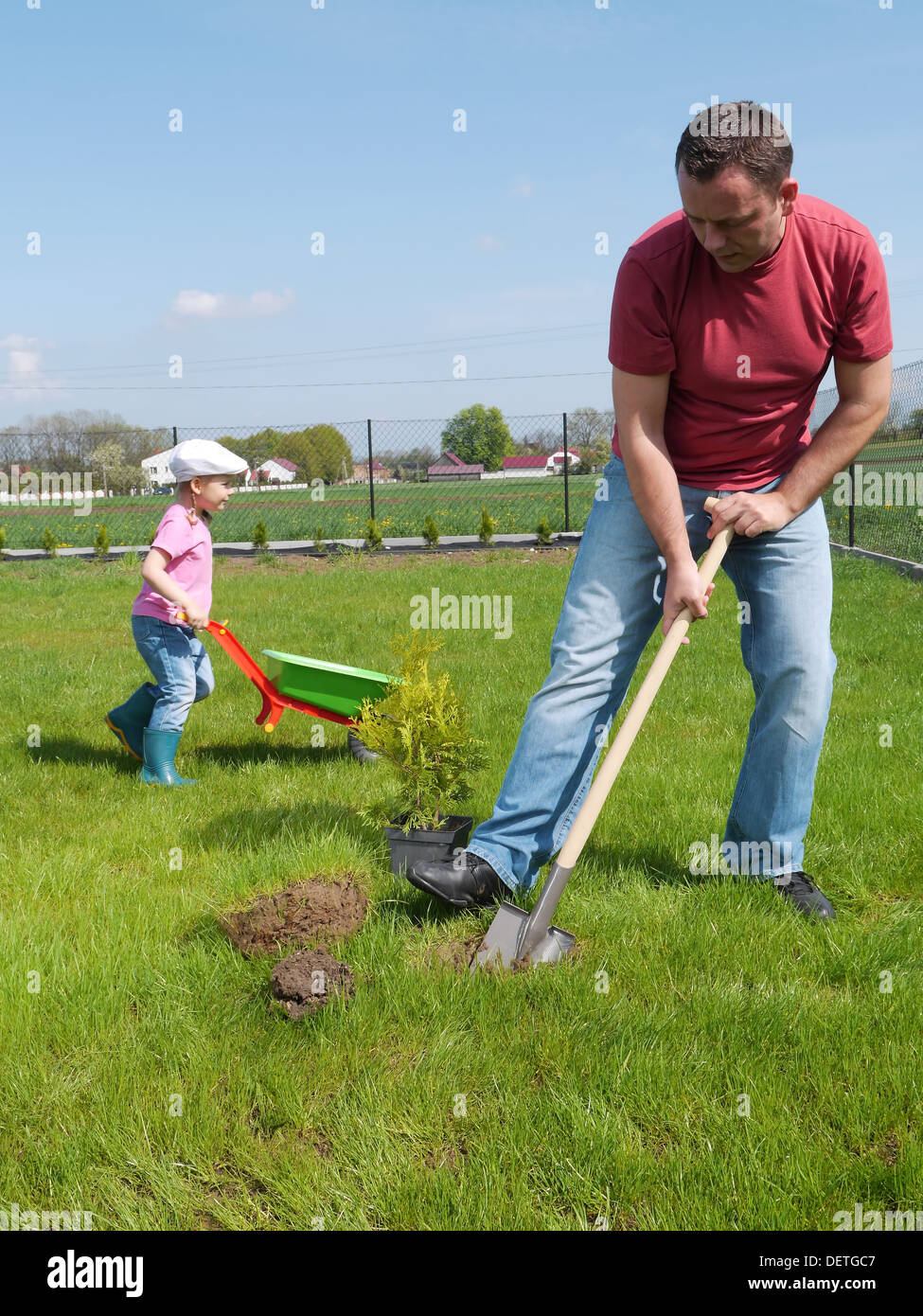 Vater und seiner kleinen Tochter zusammen Thuja-Baum im Garten Pflanzen Stockfoto