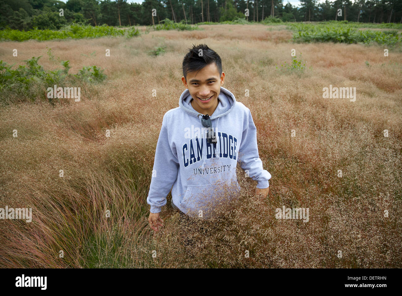 Ein junger Mann, Blick in die Kamera in einem Feld in England Stockfoto