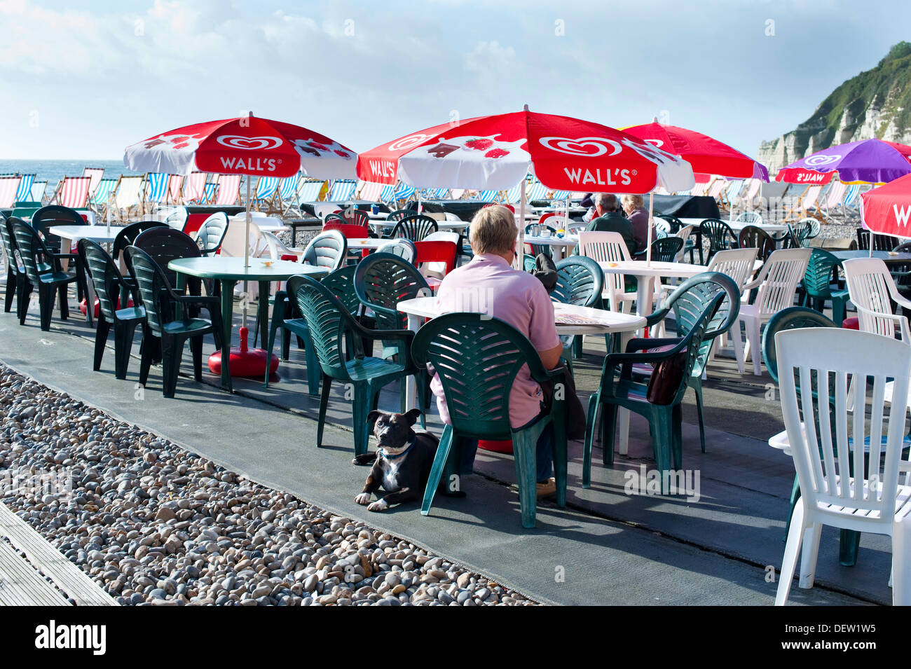 Mensch und Hund sitzt an einem Strand Café, Bier, Devon, England, UK Stockfoto