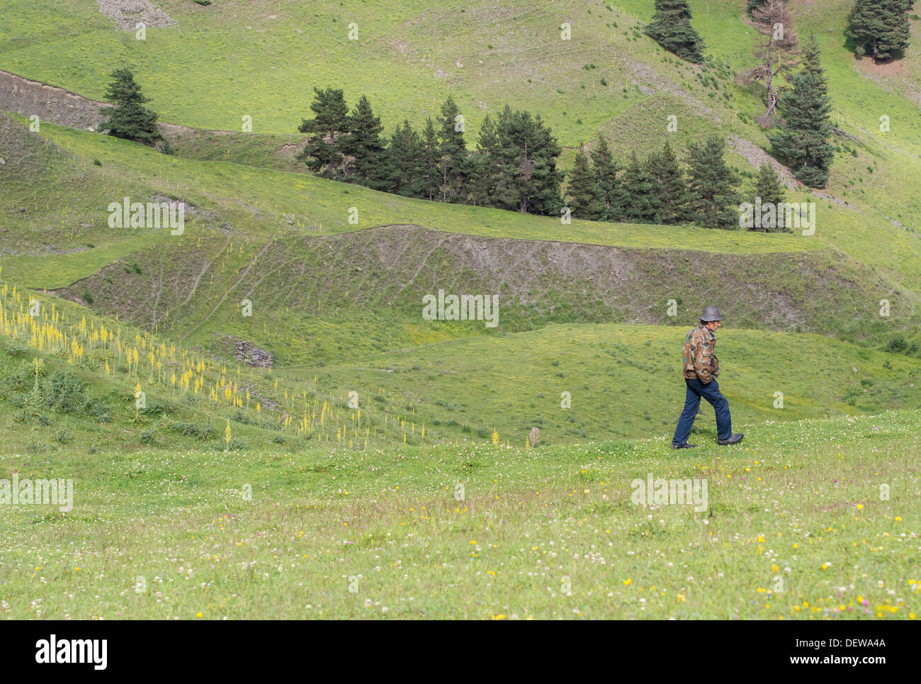 Mann auf einer Wiese neben Doklo Dorf in Tuschen Bergen, Georgien Spaziergang-. Stockfoto