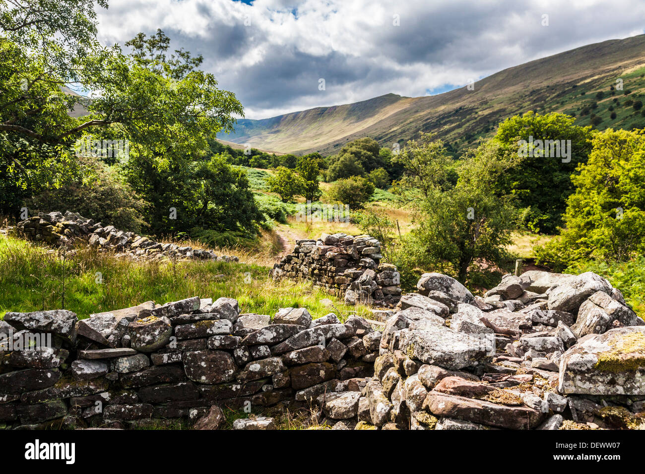 Eine tumbledown Trockenmauer auf einem öffentlichen Wanderweg in das Cwm Oergwm in den Brecon Beacons National Park. Stockfoto