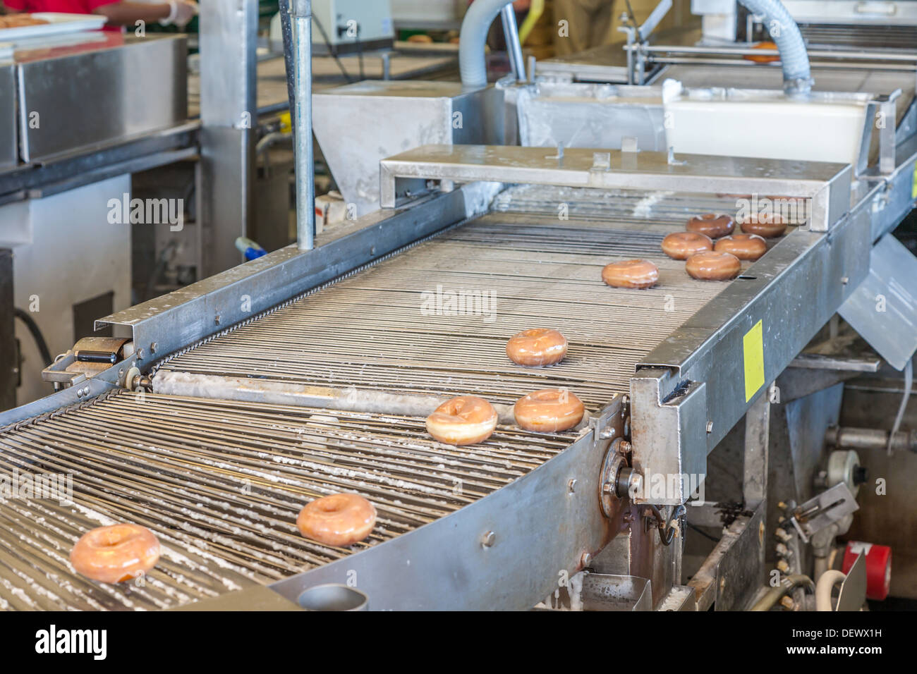 Donuts auf automatisierte Förderstrecke Produktion bei einem Krispy Kreme speichern Stockfoto