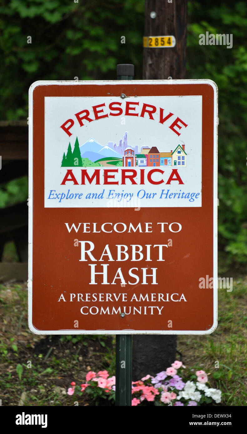 Zu wahren Amerika - Kaninchen-Durcheinander Stockfoto