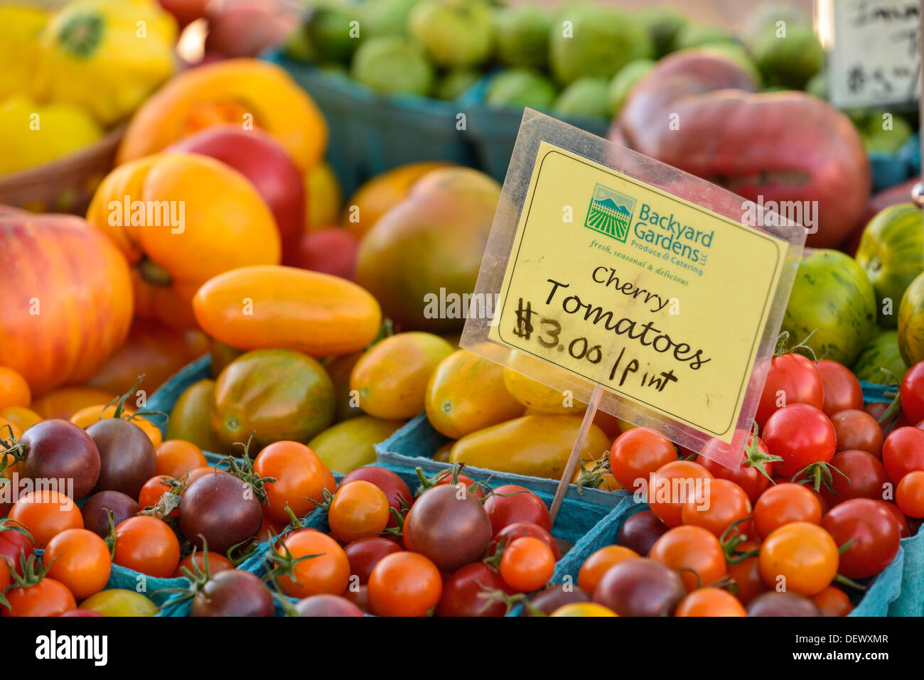 Eine Vielzahl von Tomaten zum Verkauf an den Wallowa County Bauernmarkt in Enterprise, Oregon. Stockfoto