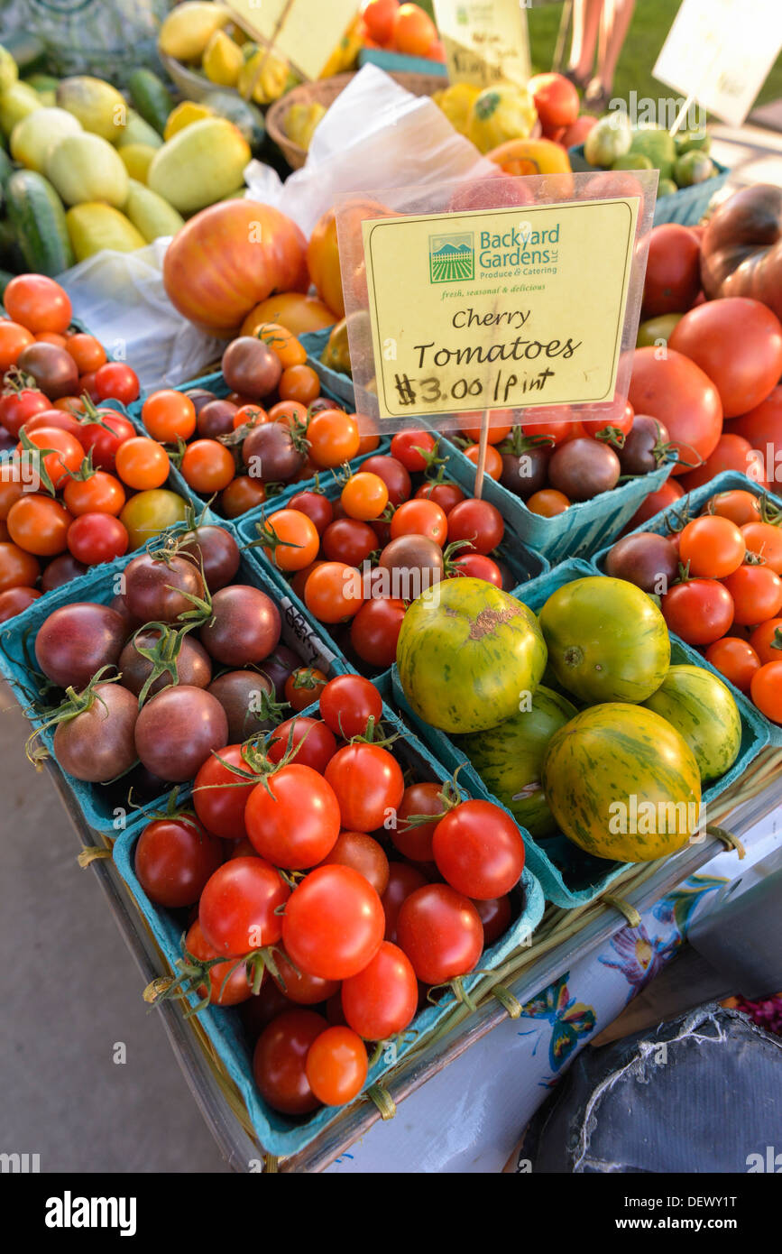 Eine Vielzahl von Tomaten zum Verkauf an den Wallowa County Bauernmarkt in Enterprise, Oregon. Stockfoto