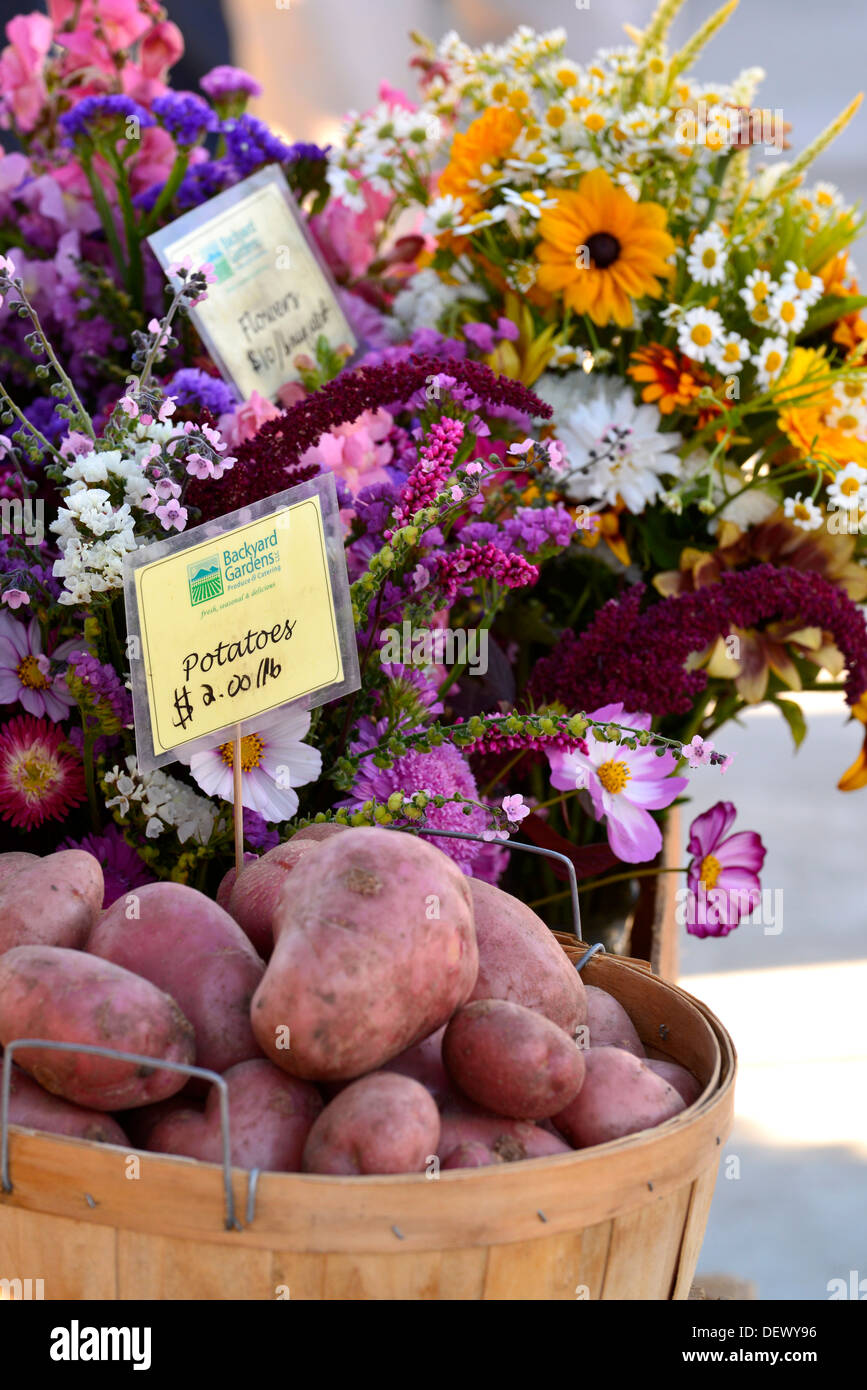 Rote Kartoffeln und Blumen zum Verkauf an den Wallowa County Bauernmarkt in Enterprise, Oregon. Stockfoto