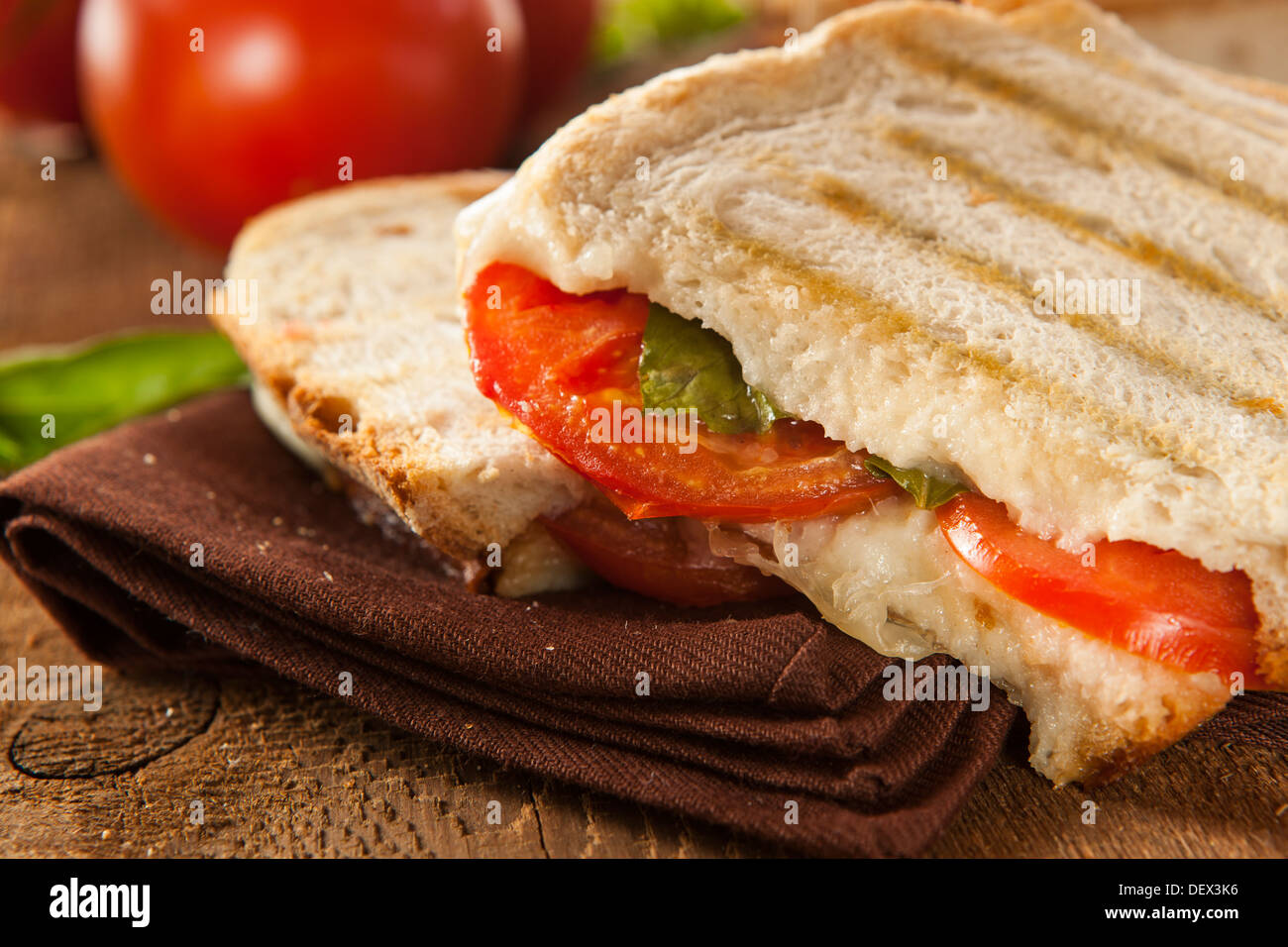 Hausgemachte Tomaten-Mozzarella Panini mit Basilikum Stockfoto