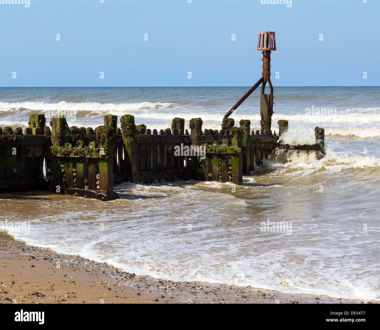 Holz-Buhnen am Mundesley auf der Küste von Norfolk England UK Europa Stockfoto