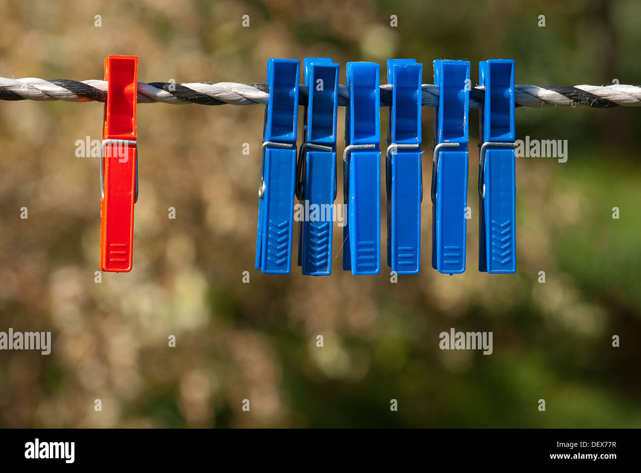 Einsame rote Klemme zum Trocknen von Wäsche Stockfoto