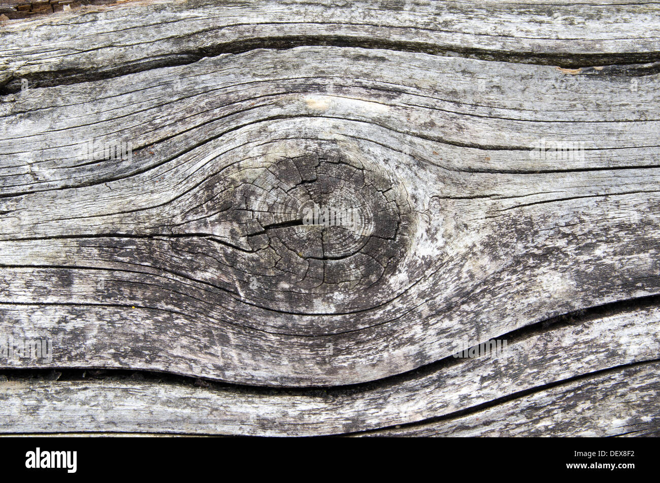 Die Oberfläche verwitterten der alten Holz mit einem Knoten Stockfoto