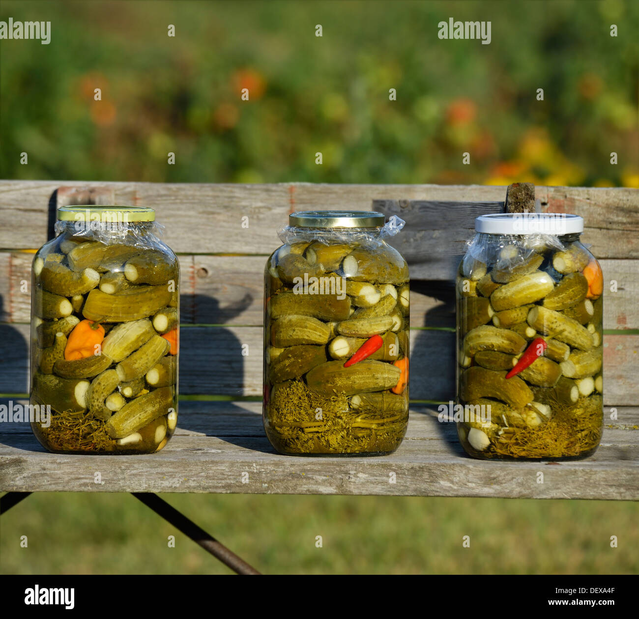 Saure gurken Fotos und Bildmaterial in hoher Auflösung Alamy