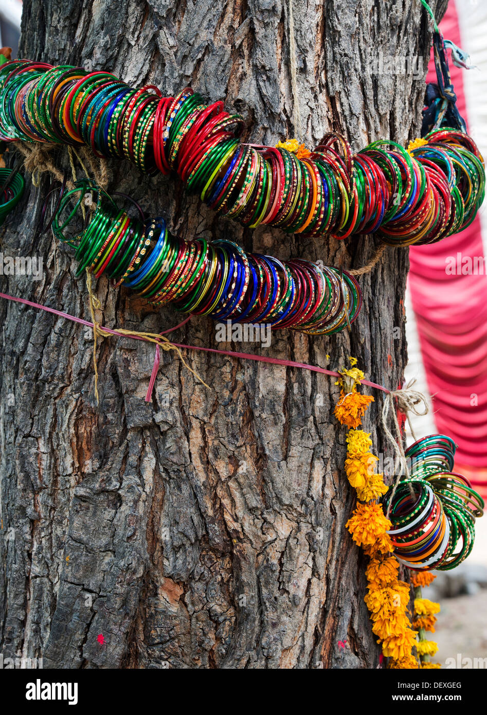 Farbigen indischen Damen Armreifen aufgehängt um einen Wunsch erfüllen Baum als heilig Angebot. Andhra Pradesh, Indien Stockfoto