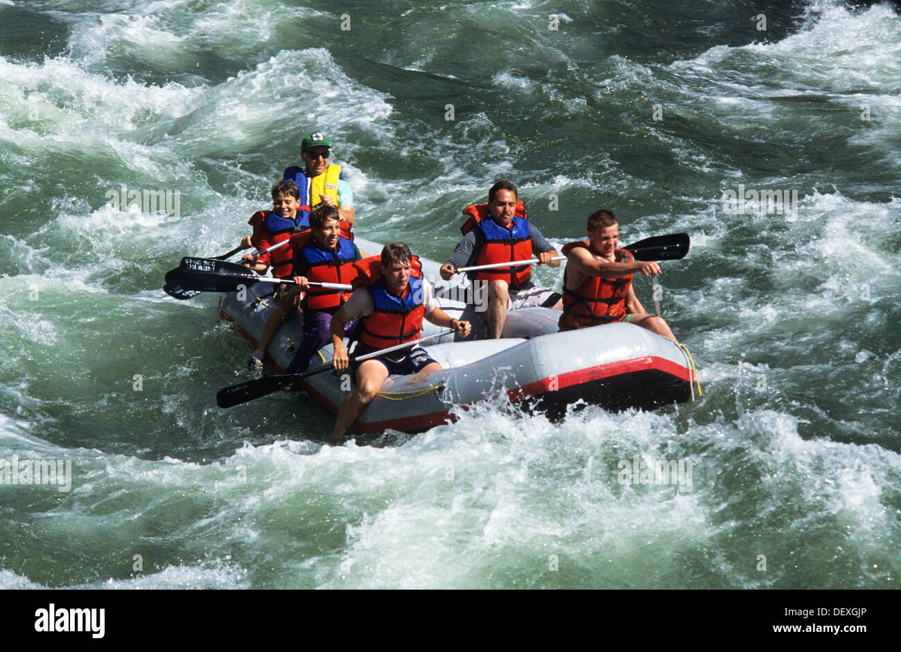 Jackson Hole, Wyoming Elk266-1264, Snake River, Wildwasser-rafting Stockfoto