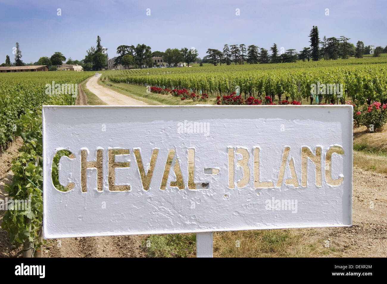Chateau Cheval Blanc Weingut in Saint-Emilion, eines der berühmten Weingebiet von Bordeaux. Gironde. Frankreich. Stockfoto