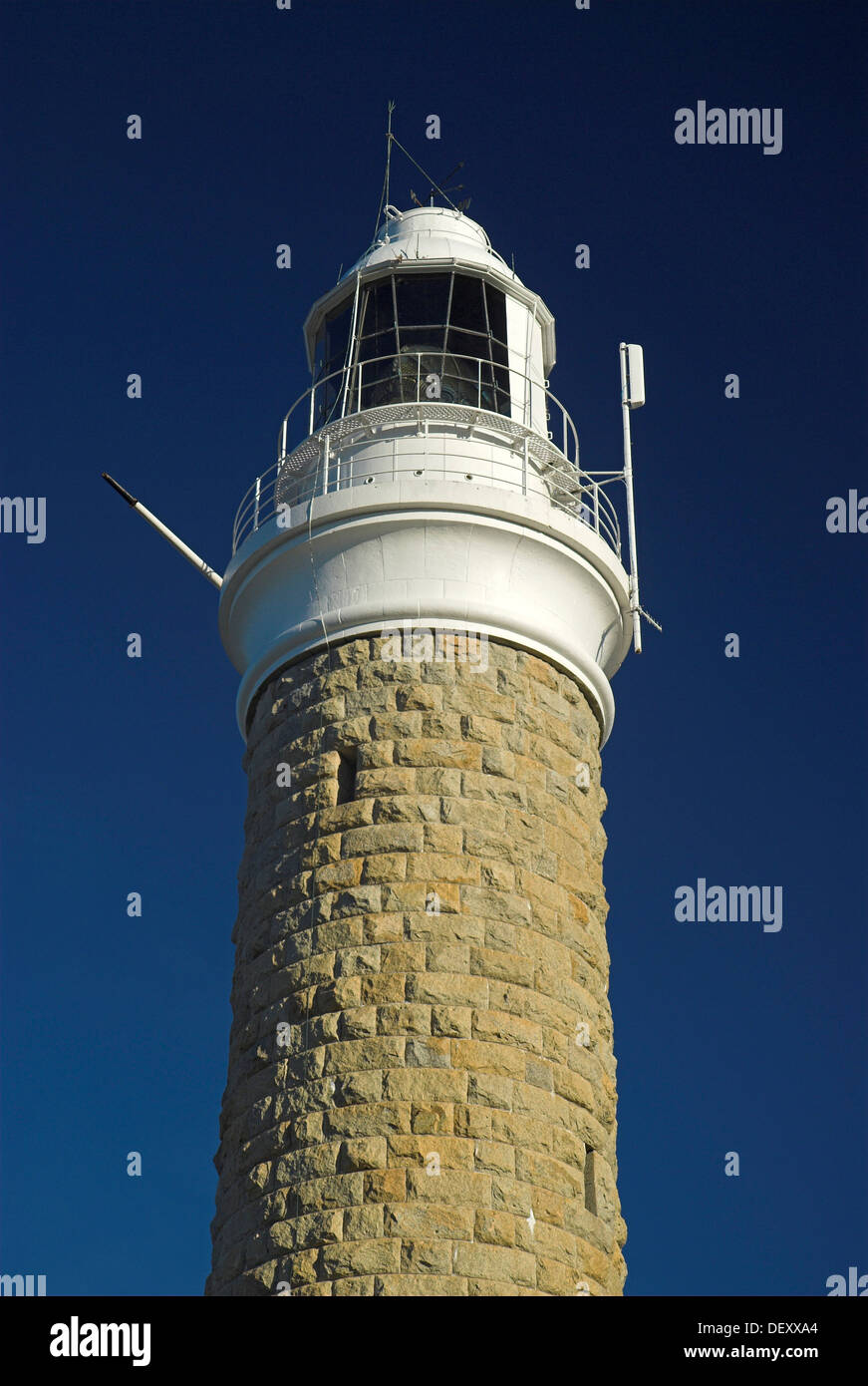 Eddystone Leuchtturm im Nationalpark Mount Williams, Tasmanien, Australien Stockfoto