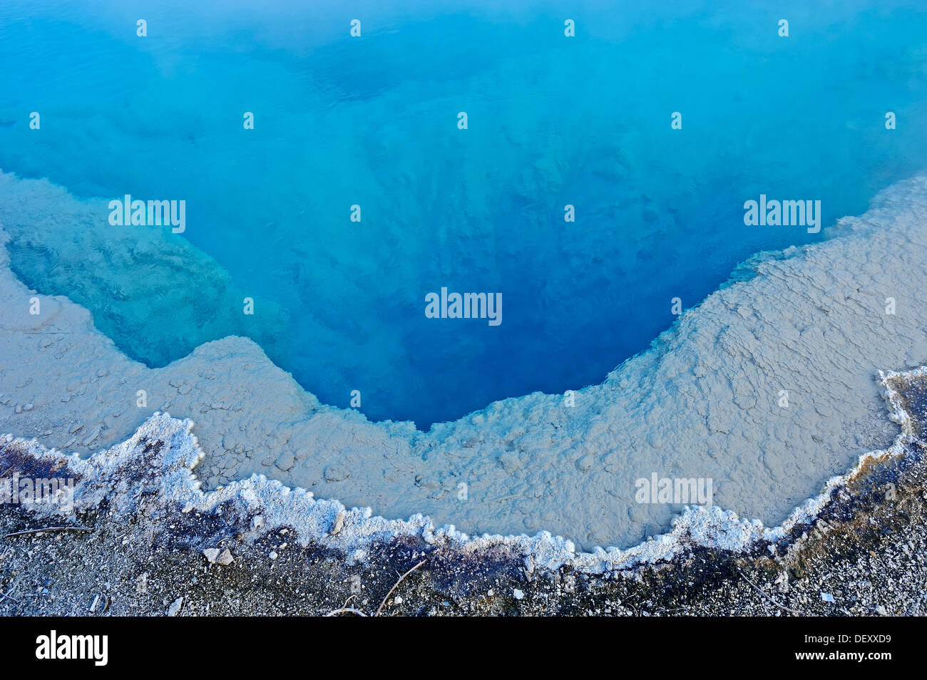 Black Pool Thermalquelle, West Thumb Geyser Basin, Yellowstone-Nationalpark, Wyoming, USA Stockfoto