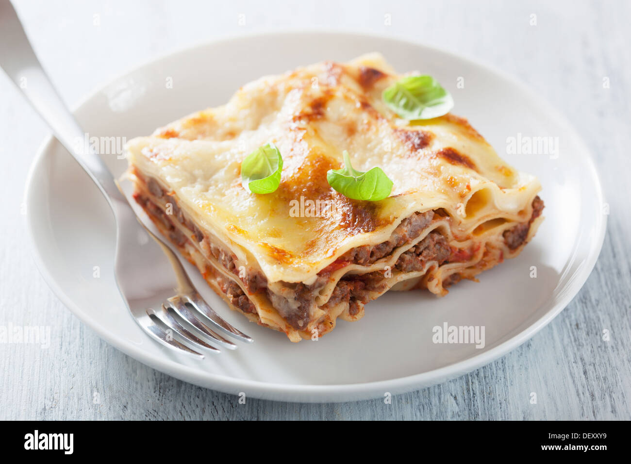 Lasagne bolognese Stockfoto