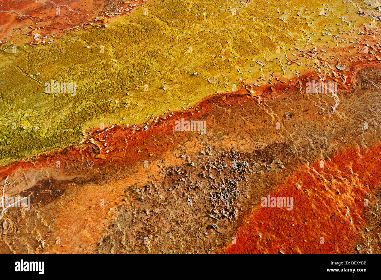 Algen-bakterielle Matten und Mineralablagerungen auf eine heiße Quelle, West Thumb Geyser Basin, Yellowstone-Nationalpark, Wyoming, USA Stockfoto