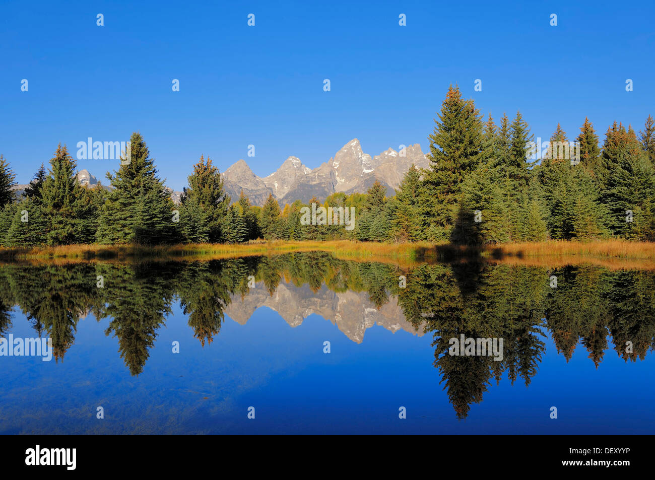 Teton Range spiegelt sich in der Snake River, Grand-Teton-Nationalpark, Wyoming, USA Stockfoto