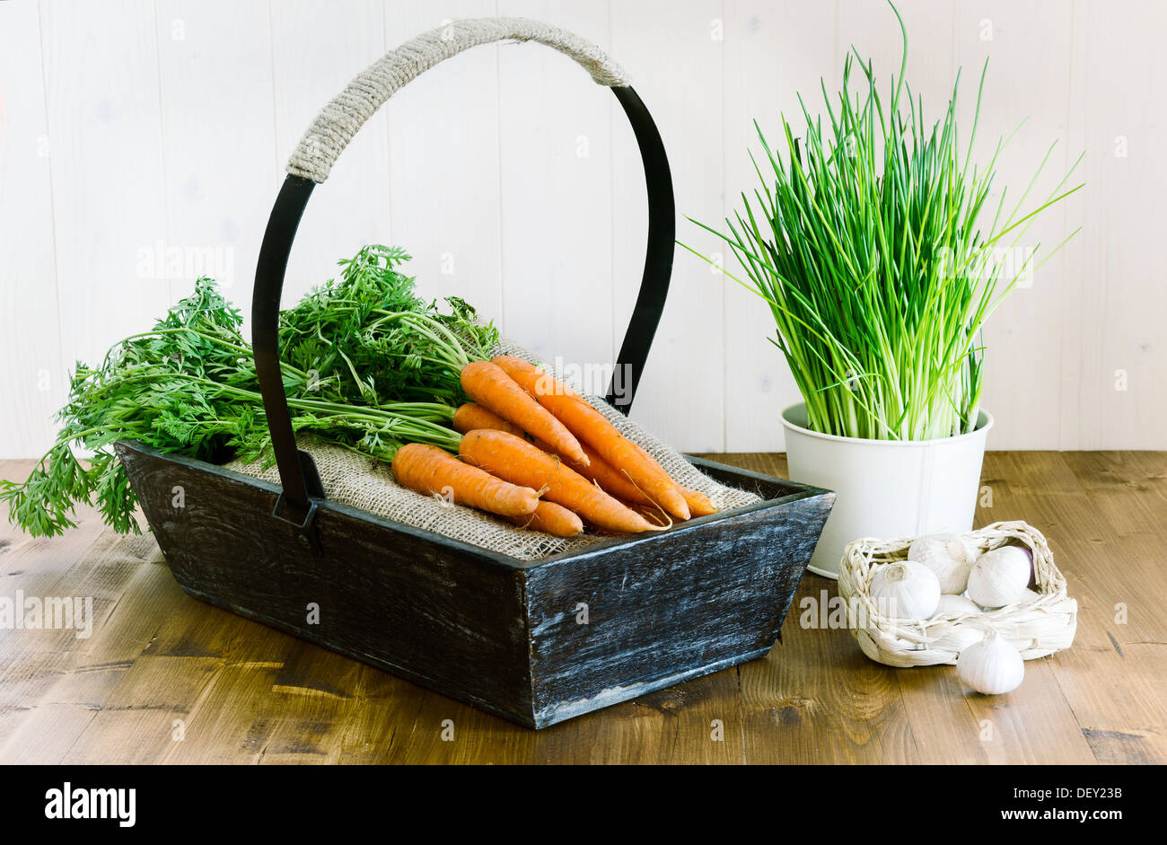 Frische Bio-Karotten, Schnittlauch und Knoblauch. Stockfoto