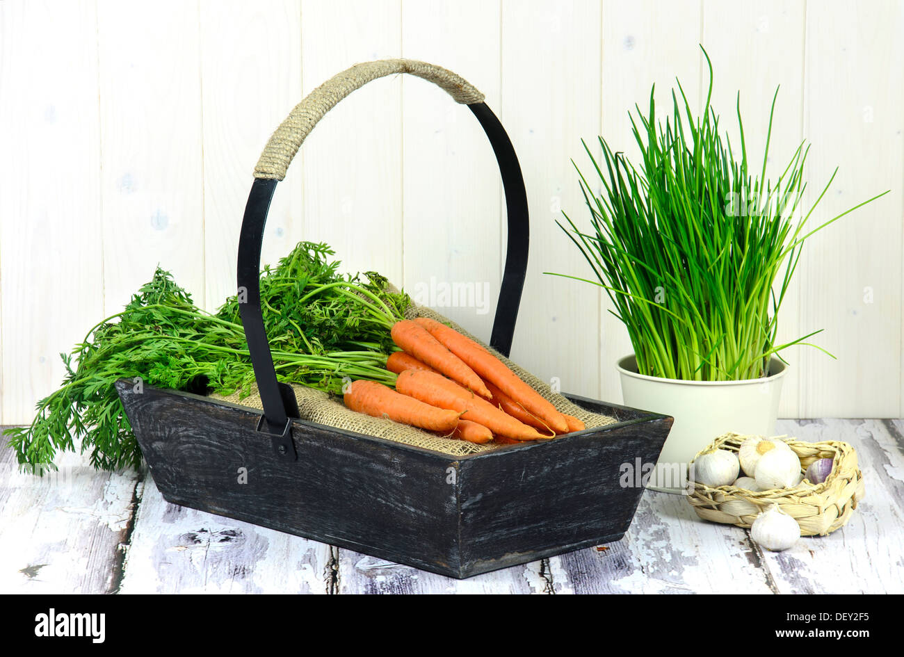 Frische Bio-Karotten, Schnittlauch und Knoblauch. Stockfoto