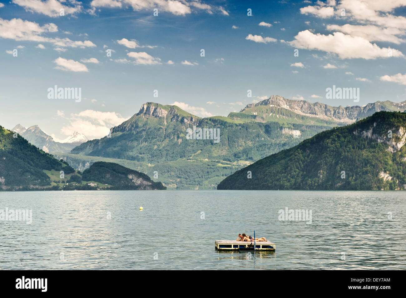 Vierwaldstätter See mit einer Insel schwimmen, Weggis, Canon von Luzern, Schweiz, Europa Stockfoto