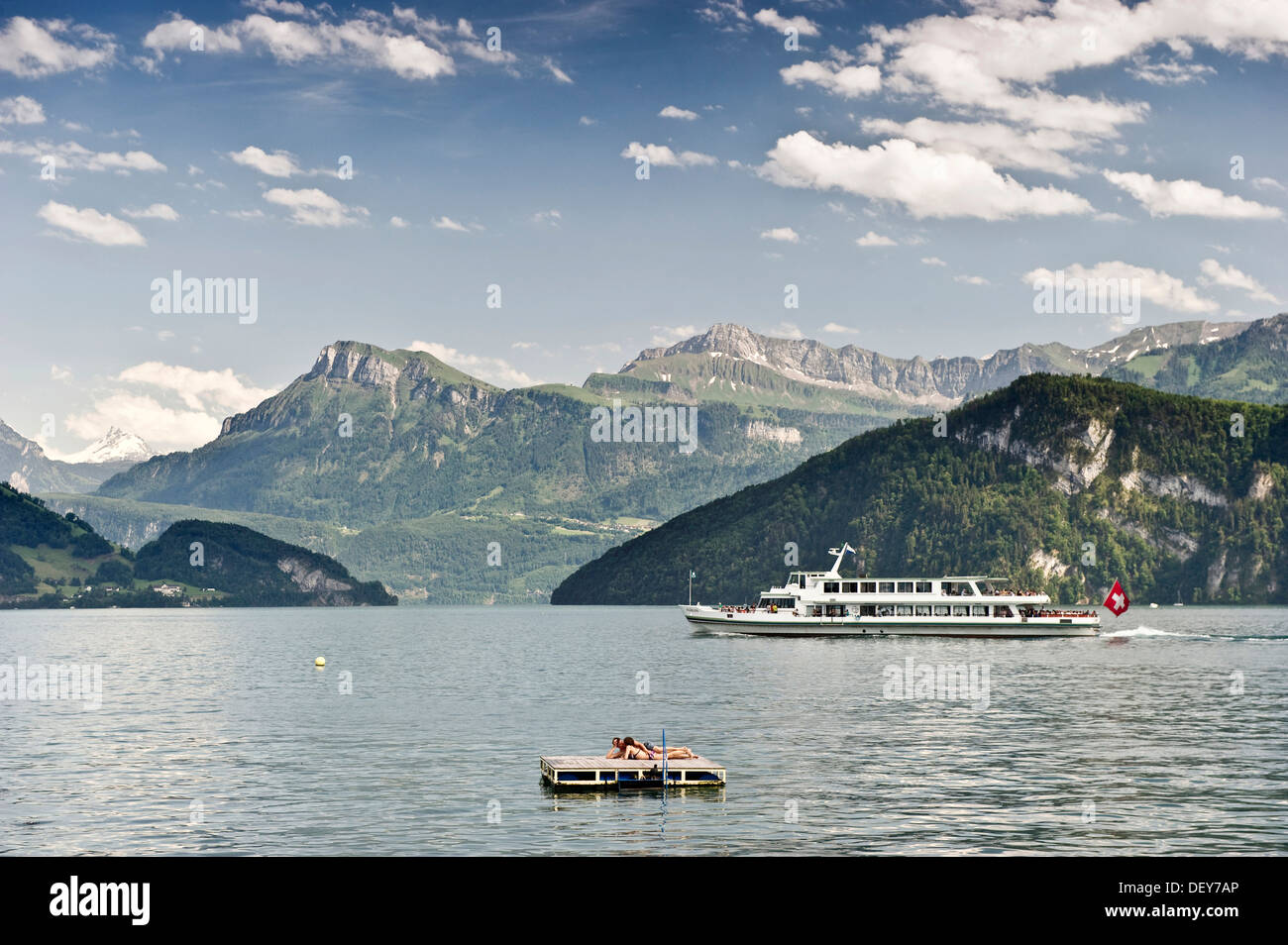 Vierwaldstätter See mit einer Insel schwimmen, Weggis, Kanton Luzern, Schweiz, Europa Stockfoto