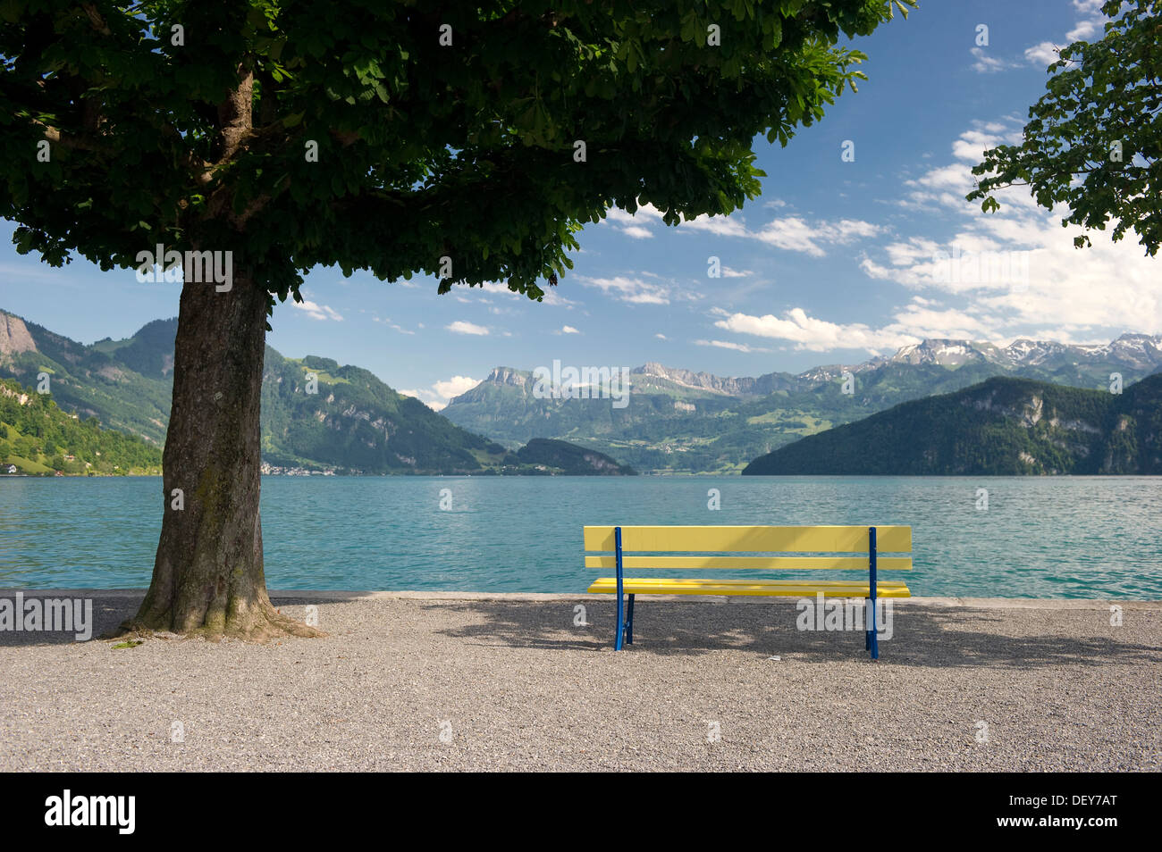 Bank auf der Promenade, Weggis, Vierwaldstättersee, Kanton Luzern, Schweiz, Europa Stockfoto
