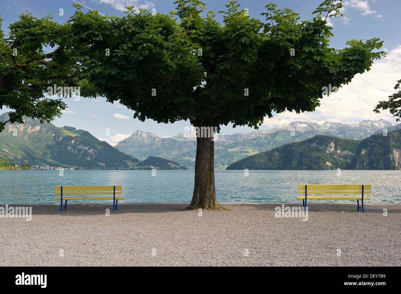 Bänke auf der Promenade, Weggis, Vierwaldstättersee, Kanton Luzern, Schweiz, Europa Stockfoto