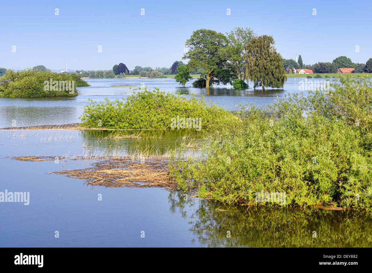 Elbe-Hochwasser im Jahr 2013 in alten engen Krankenschwester, 4 und sumpfige Land, Hamburg, Deutschland, Europa, Elbe-Flut 2013 in Altengamme, Vier-Und Mar Stockfoto