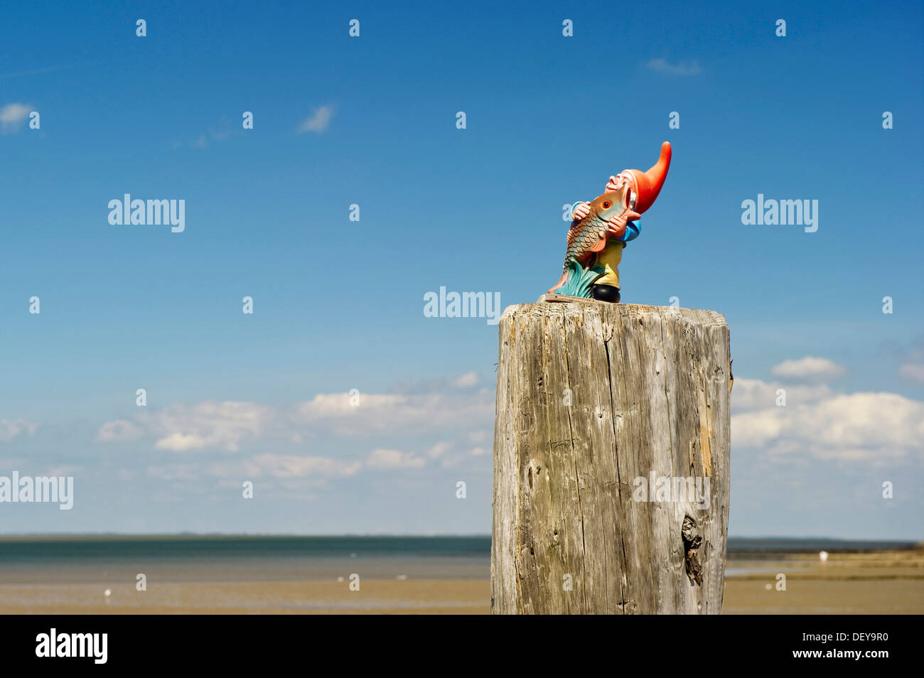 Gartenzwerg oben auf dem Steg, Utersum, Foehr Insel, Nordfriesland, Schleswig-Holstein Stockfoto