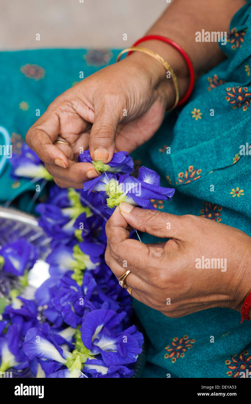 Alte indische Womans Hände machen eine Blumengirlande. Andhra Pradesh, Indien Stockfoto