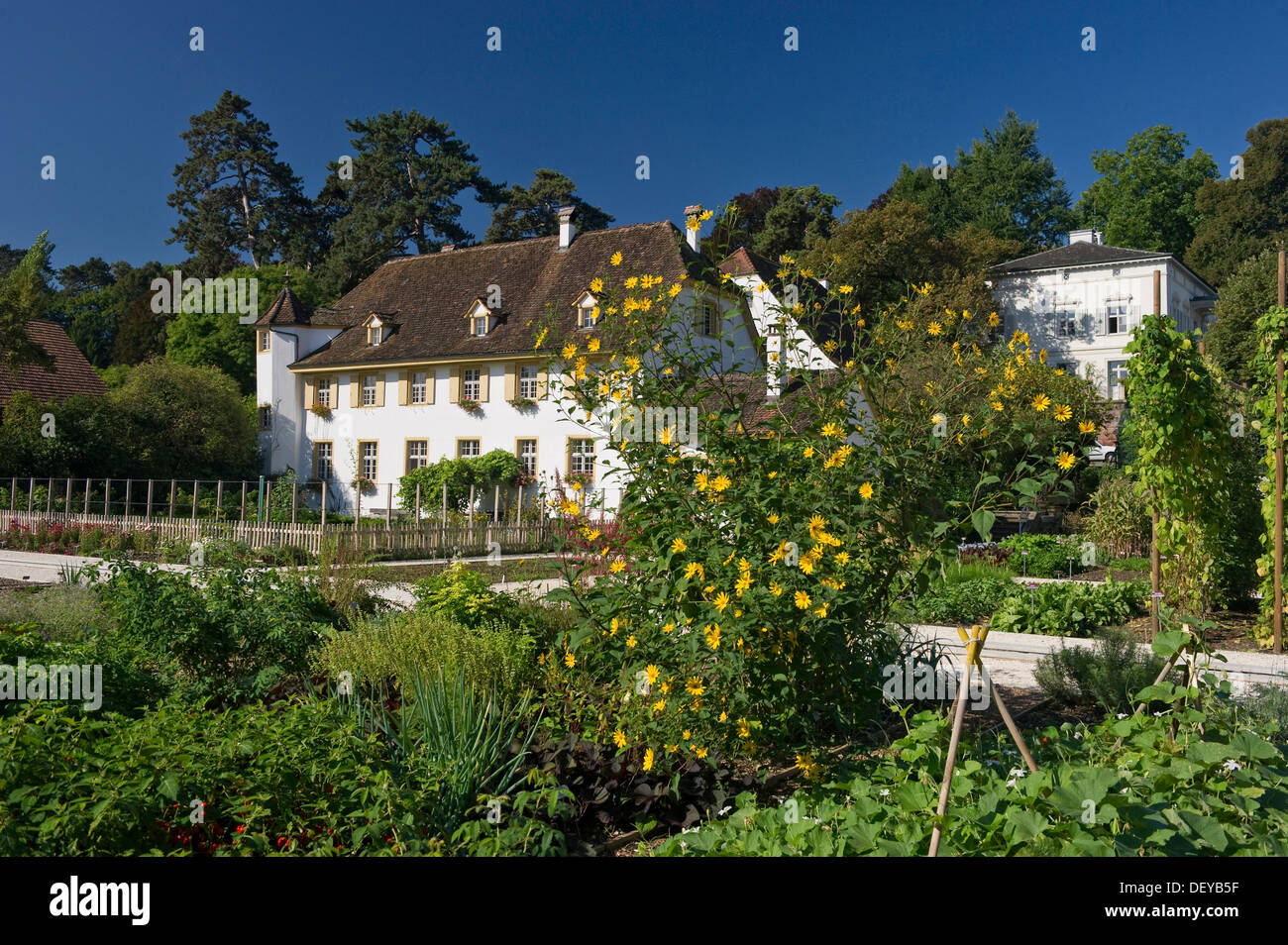 Merian Park, Brueglingen, Basel, Schweiz, Europa Stockfoto