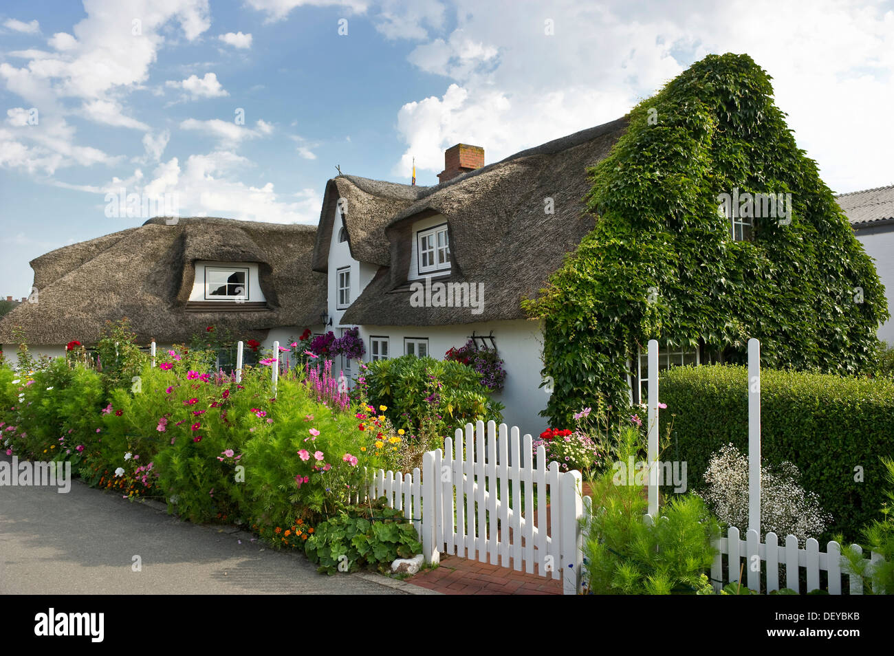 Reetdachhaus und Bauerngarten, Nebel, Amrum, Nordfriesischen Inseln, Schleswig-Holstein Stockfoto