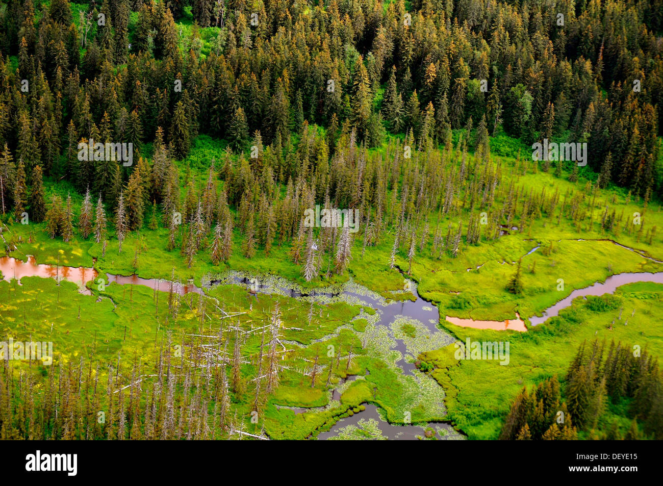 AK Alaska Alaska Wolke Wolken Wald Juneau See Berg Berge im freien draußen Sommer 2011 Baum Bäume Flusswasser Stockfoto