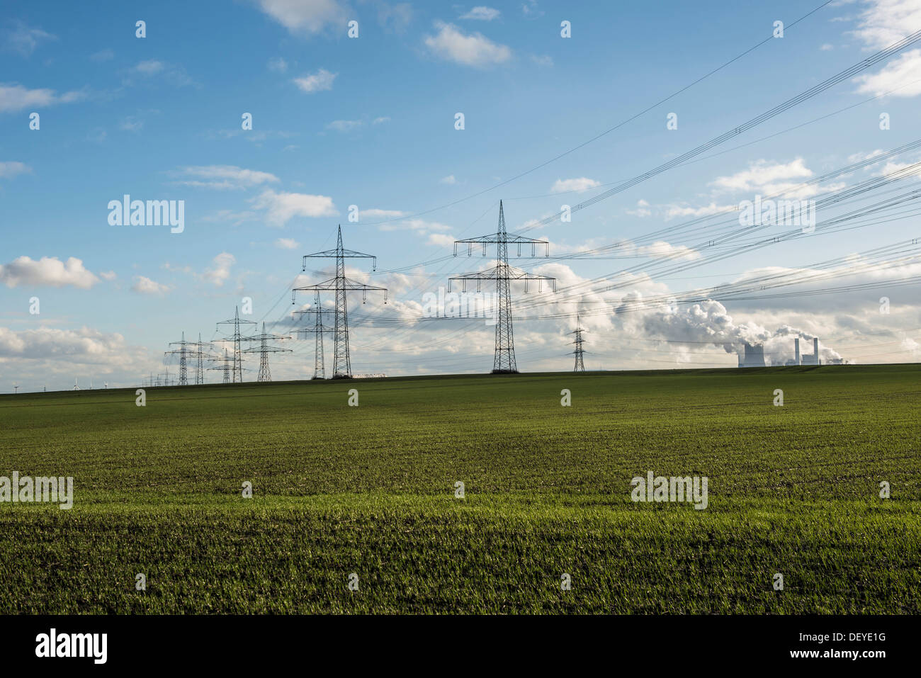 Übertragung von Hochspannungsmasten, Freileitungen, Grevenbroich, Rheinland, Nordrhein-Westfalen, Deutschland Stockfoto